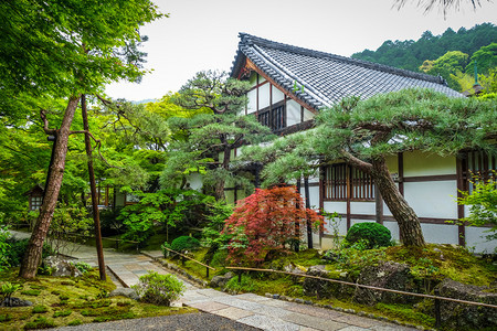 日本京都岚山竹林中的jojakkoji神殿日本京都的jojakkoji寺庙图片