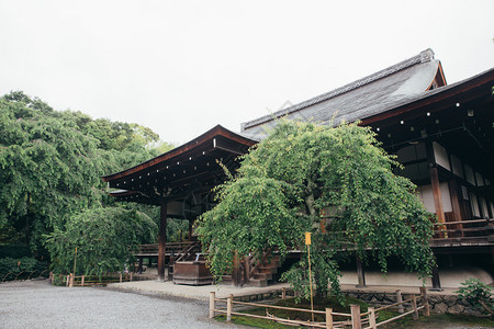 日托古代电影风格的日本山庙用的木叶树图片