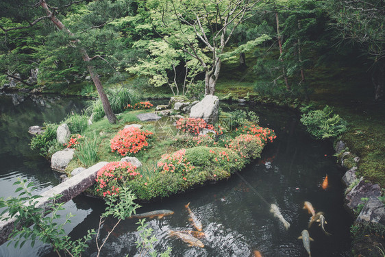 带有湖泊的植物公园图片