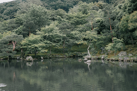 带有湖泊的植物公园图片