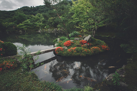 带有湖泊的植物公园图片