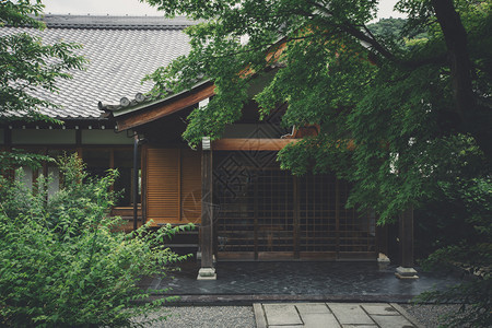 日托古代电影风格的日本山庙用的木叶树图片