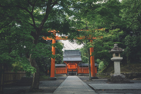 日托古代电影风格的日本山庙用的木叶树图片