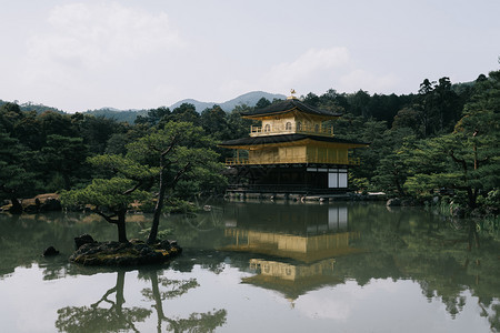 日托古代电影风格的日本山庙用的木叶树图片