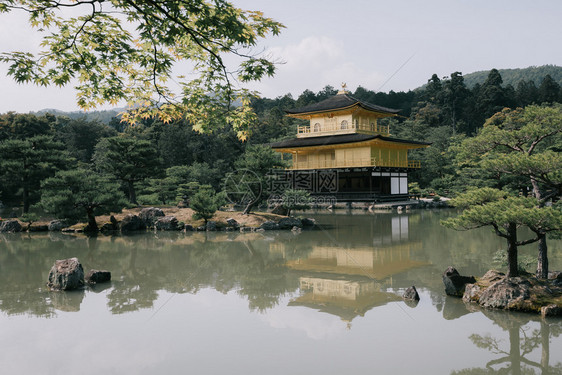 日托古代电影风格的日本山庙用的木叶树图片