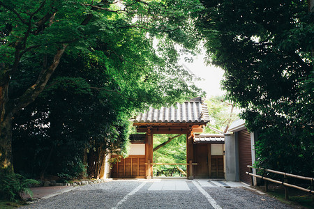 日托古代电影风格的日本山庙用的木叶树图片