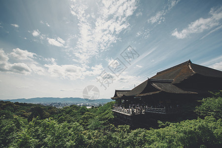 青叶的日本寺庙以京都的古代电影风格配绿色叶子的日本寺庙图片