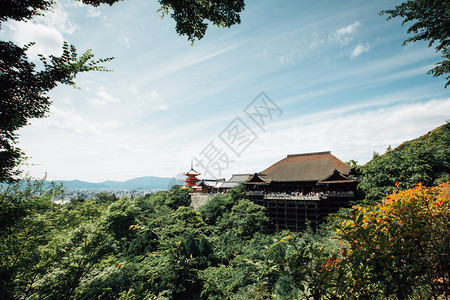 青叶的日本寺庙以京都的古代电影风格配绿色叶子的日本寺庙图片