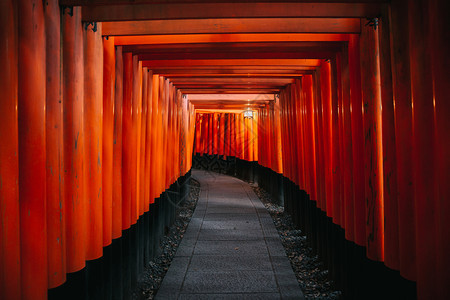 japn晚上在法希米因纳里神庙的大门和雨中京都图片