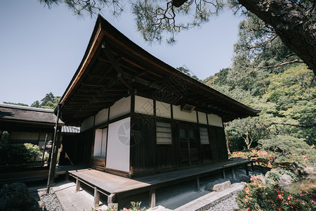 日托古代电影风格的日本山庙用的木叶树图片