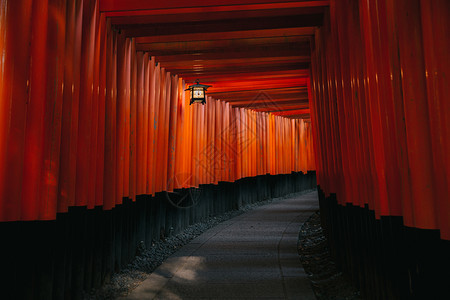 夜里在法希米因纳神庙的tholi通道大门和日本的淋雨京都图片