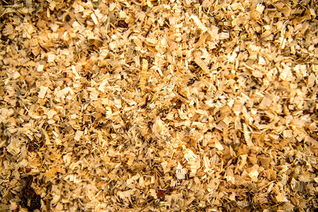 锯末森林地板上的锯木屑背景