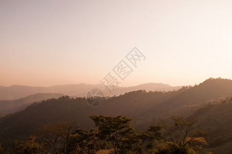 美丽的日出俯景森林图片