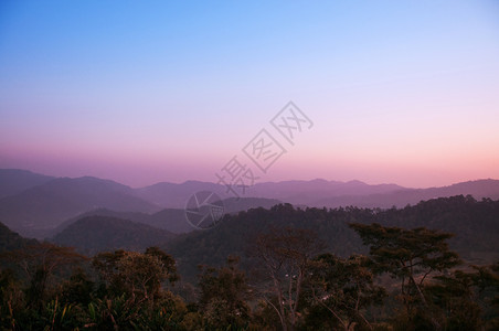 美丽的日出俯景森林图片