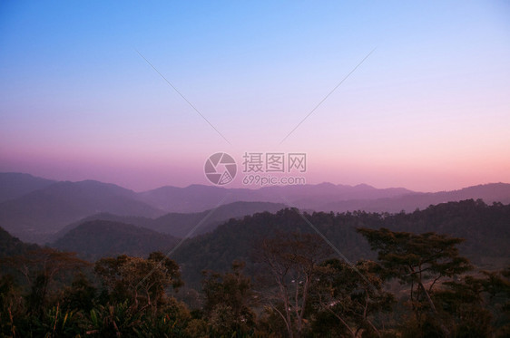 美丽的日出俯景森林图片