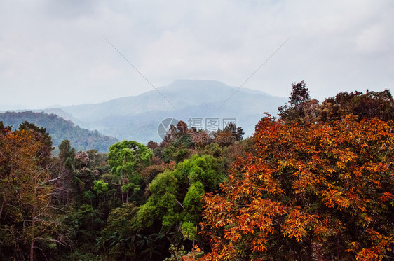 绿红秋林和大山图片