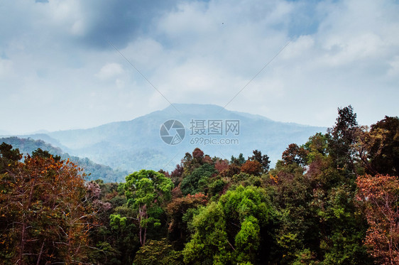 绿红秋林和大山图片