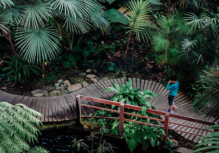 热带森林温室观光图片