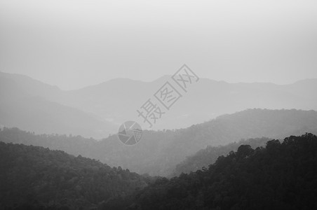 黑白两色的森林和山形图象以蒙色吉昂马伊泰河图片