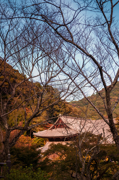 哈希德寺庙位于山区建6世纪图片