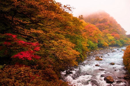 凄凉秋天唯美背景-凄凉秋天唯美摄影图片-海洋和乌鲁西亚湾的波拉瓦