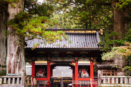 NikoTshgu圣堂入口日本托奇吉图片