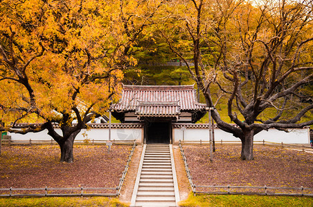 日本第一所私立学校图片