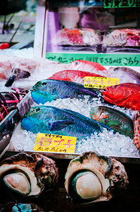 在马基希第一公共市场当地海产食品店的绿色黑鹦鹉鱼图片