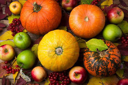 含橙色和黄南瓜秋叶绿苹果和草莓的感恩背景图片