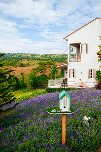 2013年6月日泰王国英古老乡村住宅图片