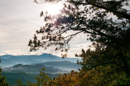 夏季或春在巴古约吕松岛平流山林中美丽的地景色图片