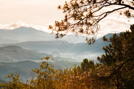 夏季或春在巴古约吕松岛平流山林中美丽的地景色图片