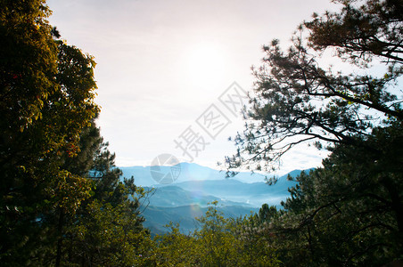 夏季或春在巴古约吕松岛平流山林中美丽的地景色图片