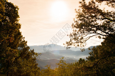 夏季或春在巴古约吕松岛平流山林中美丽的地景色图片