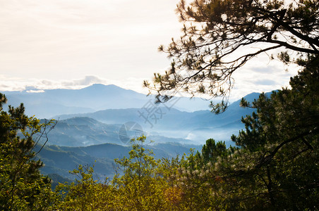 夏季或春在巴古约吕松岛平流山林中美丽的地景色图片