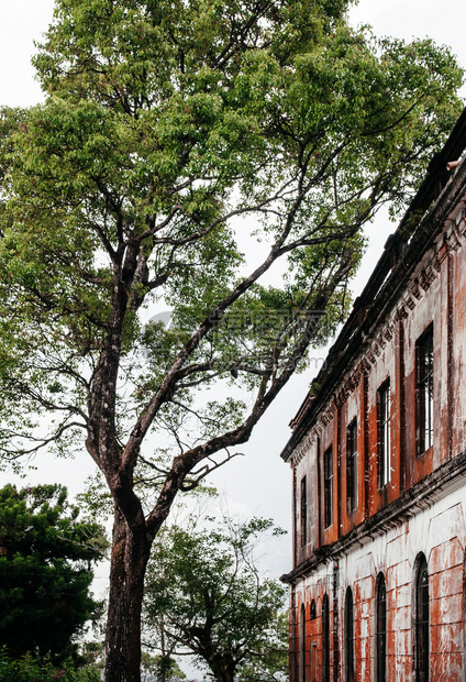 Dominca山丘后退房或外交旅馆废弃建筑和据报在Dominca山顶闹鬼的地方图片