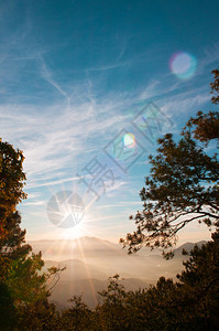 夏季或春在巴古约吕松岛平流山林中美丽的地景色图片