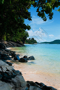带黑石和树的热带小海滩泰国图片