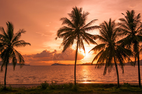 沙滩日落椰子树兰东省泰王国图片