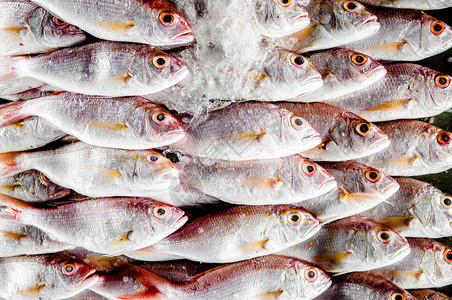 鱼类市场上的冰鱼图片