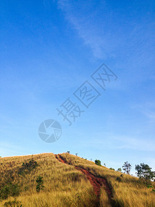 土路直达沙兰州东的草山顶图片