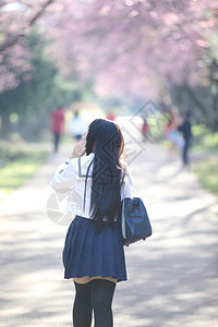 穿着长得像樱花的日本女学生自然走道图片