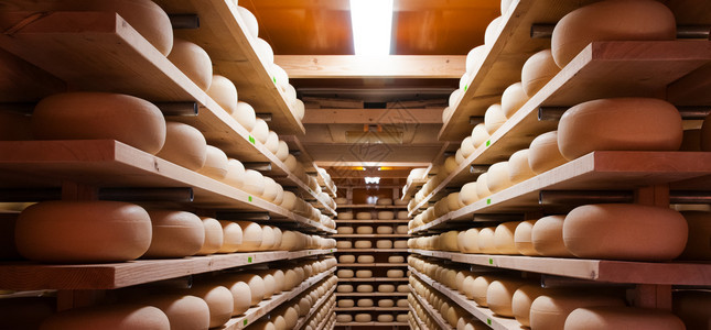奶酪储存在木制架子上待成熟图片