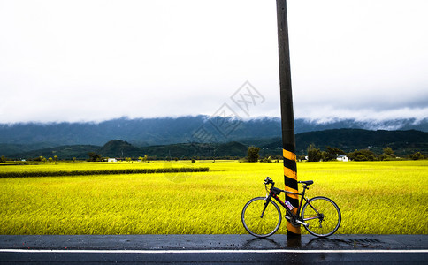 下完雨后在chisangtiungaiwn骑自行车和稻田图片