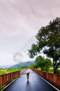 吉山泰东万等地雨后图片