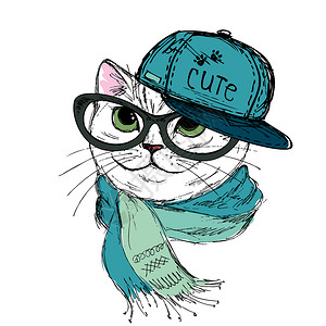 司机被蒙住眼睛时装猫戴帽子纸巾和眼镜的时装猫在白色上被孤立贺卡