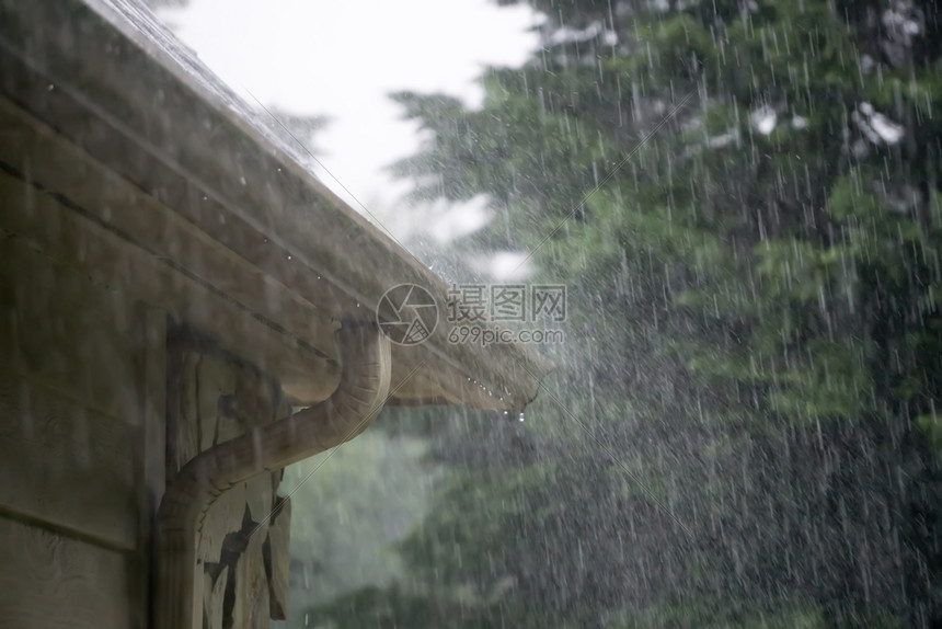 暴风从雨中降下大图片