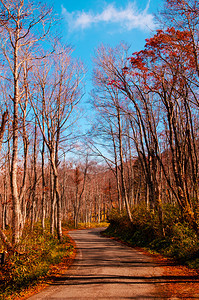 秋天的乡间公路蓝天的雅马加塔图片