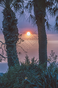 圣莫尼卡加州美丽的日落图片