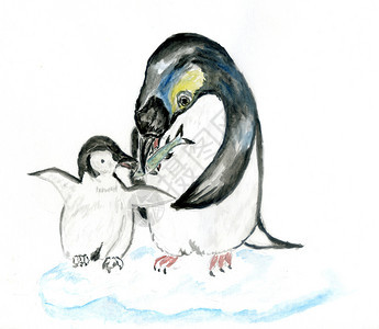 可爱的漫画企鹅手水彩图图片